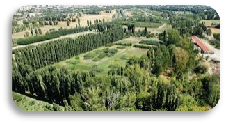 Atatürk Orman Çiftliği