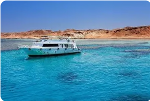 Île de Tiran