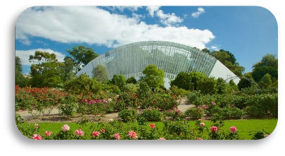 Jardin botanique d’Adélaïde
