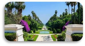 Jardin d’Essai du Hamma