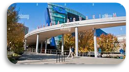 Aquarium de Géorgie