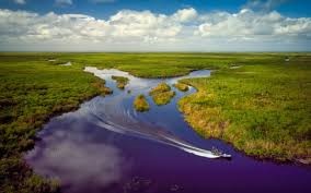 Le Parc National des Everglades