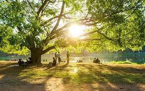 Parc d’Ibirapuera