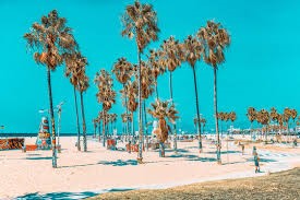 Venice Beach
