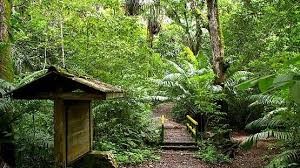 Parc National Soberanía