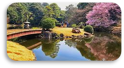 Shinjuku Gyoen